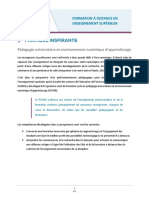 FAD Pratique Univ PDF