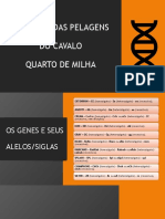 PDF - Genetica Das Pelagens Do Quarto de Milha