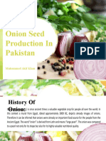 Onion Seed Production in Pakistan: Muhammad Akif Khan