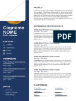 57 Curriculum Vitae Commerciale