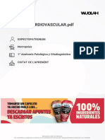 Sistema cardiovascular en