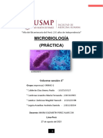 Informe S4 - Microbiología Práctica
