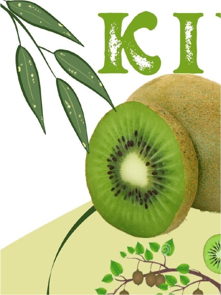 Cartel Kiwi PDF