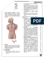 Semana 8 - Sistema Endocrino