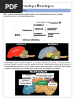 Escala Edss - Esclerose Múltipla | PDF | Dor | Doenças e distúrbios