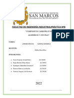 Informe Nº8