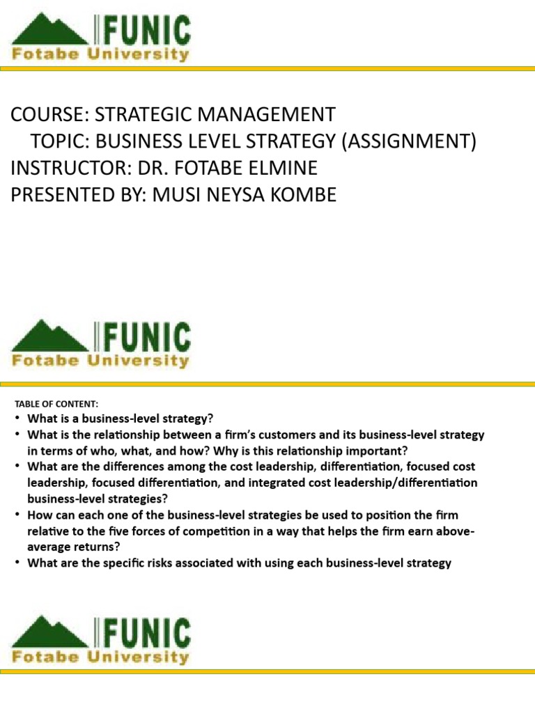 Strategic Management Chapter 4 Business Level Strategy | PDF | Business
