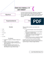 Diagrama Metodo Cientifico Arcoíris