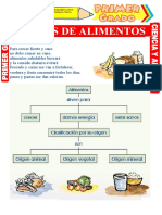 Clases de Alimentos para Primer Grado de Primaria