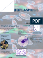 7 Toxoplasmosis