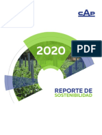 Reporte CAP 2020