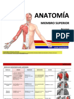 kupdf.net_anatomia-resumen-musculos-miembro-superiordesbloqueado