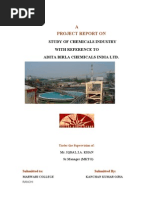 Download Study of Chemicals Industry With Reference to Adita Birla Chemicals India Ltd by Saurav Lohia SN58631563 doc pdf