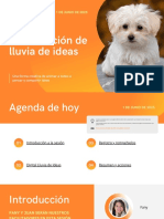 Naranja y Amarillo Gradiente Profesional Aplicación de Fitness para Mascotas Presentación de Lluvia de Ideas