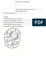 Evaluacion Ciencias Naturales Grado Cuarto