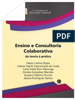 Ensino e Consultoria Colaborativa