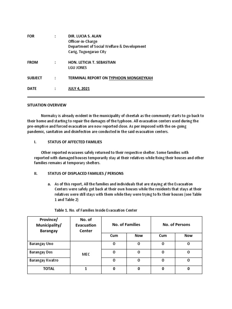 Terminal Report PDF Disasters Vortices