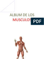 Album Musculos