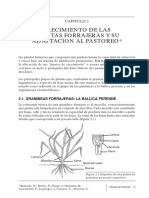 Crecimiento de plantas forrajeras y su adaptación al pastoreo