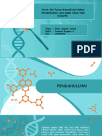 STEM CELL - Rizky Ananda Astari - 12019046 - Bioteknologi Farmasi