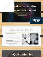 Métodos neurociencias estudio cerebro