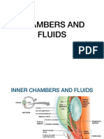 Anterior Chamber Fluids & Lens Anatomy - Aqueous, Vitreous Humor Functions
