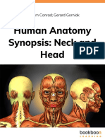 Human Anatomy Synopsis