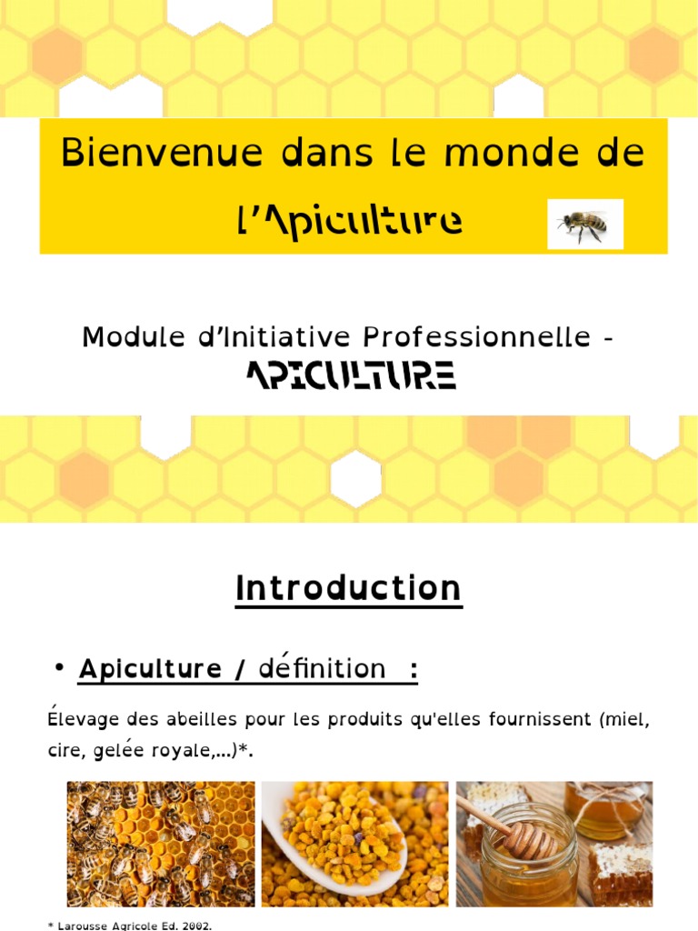 Introduction à l'Apiculture | PDF | Apiculture | Apis (insecte)