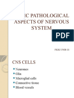 Basic Pathological Aspects of Nervous System