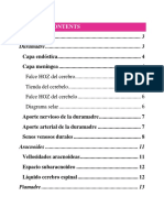 Meninges, Irrigación & SNA