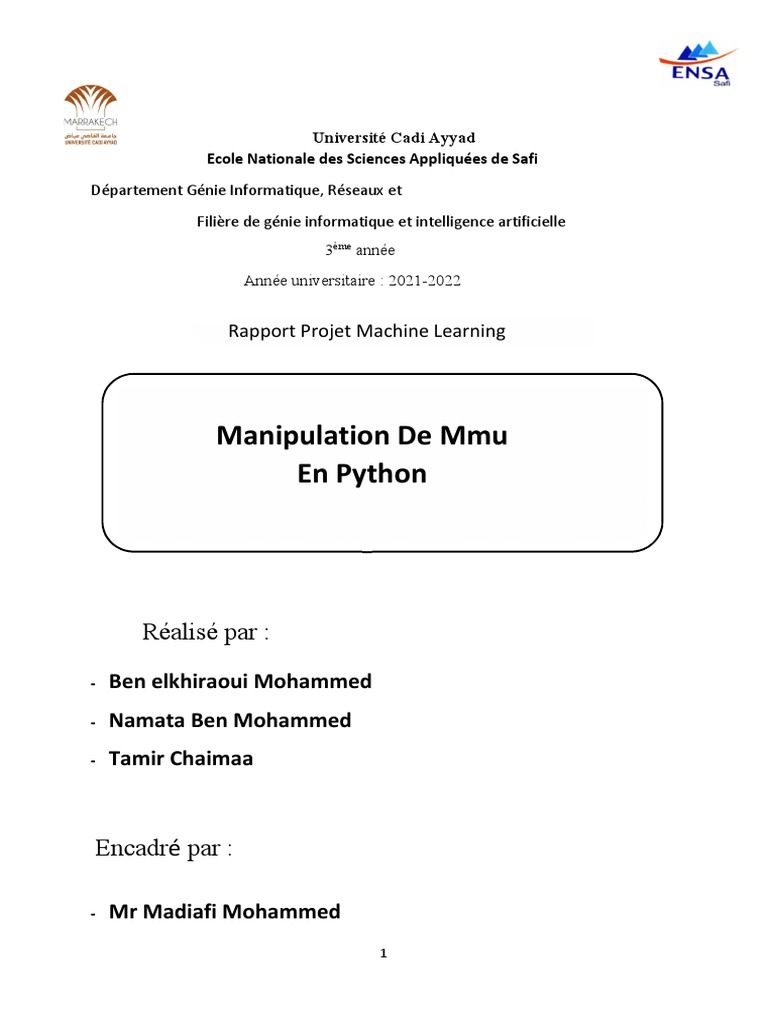 Rapport sur le Projet Machine Learning | PDF | Apprentissage ...