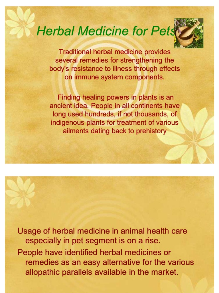 Herbal Medicine For Pets PDF Pet Herbalism
