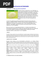 Download LaproduccindearrozenGuatemalabyDanielUlicsLGSN58636993 doc pdf