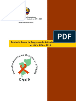 Relatorio Anual de Progresso de Actividades de Combate Ao Hiv e Sida 2010