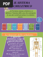 Il Sistema Scheletrico