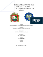 Informe Sonometro Salida de Campo.pdf