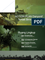 action plan