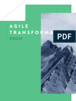 Agile Transformation: Mike Cottmeyer