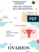 Aparato Reproductor Femenino Def