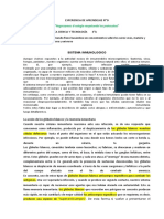 Competencias:: "Regresamos Al Colegio Respetando Los Protocolos"