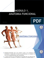 Clase 1 Anatomia Funcional y Miologia PDF