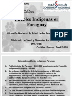 Situación y Marco Legal Pueblos Indigenas Py