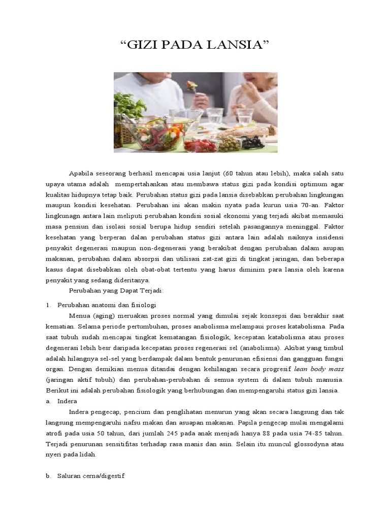 Gizi Pada Lansia | PDF
