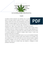 Biogeografia de Cannabis