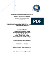 Elementos Fundamentales de La Salud Mental y Enfermedad Mental