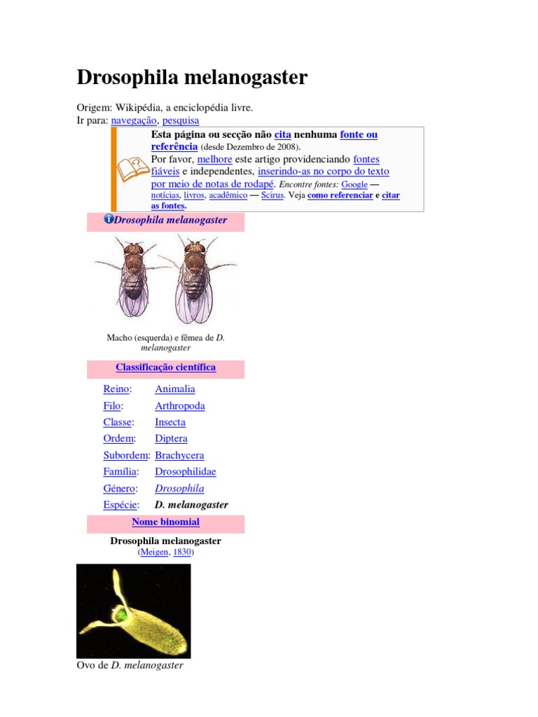 Drosophila Melanogaster | PDF | Drosophila Melanogaster | Genética