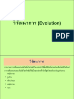 Evolution 2