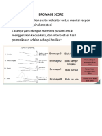 PR Refkas - Bromage Score