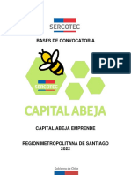 Bases ABEJA EMPRENDE 2022 Metropolitana V°B°