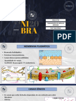 Transmissão do impulso nervoso: potencial de membrana e condução saltatória